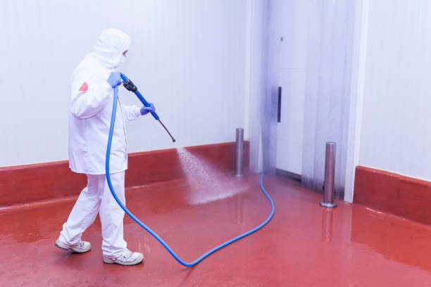 Best Factory Floor Cleaning  in East Islip, NY